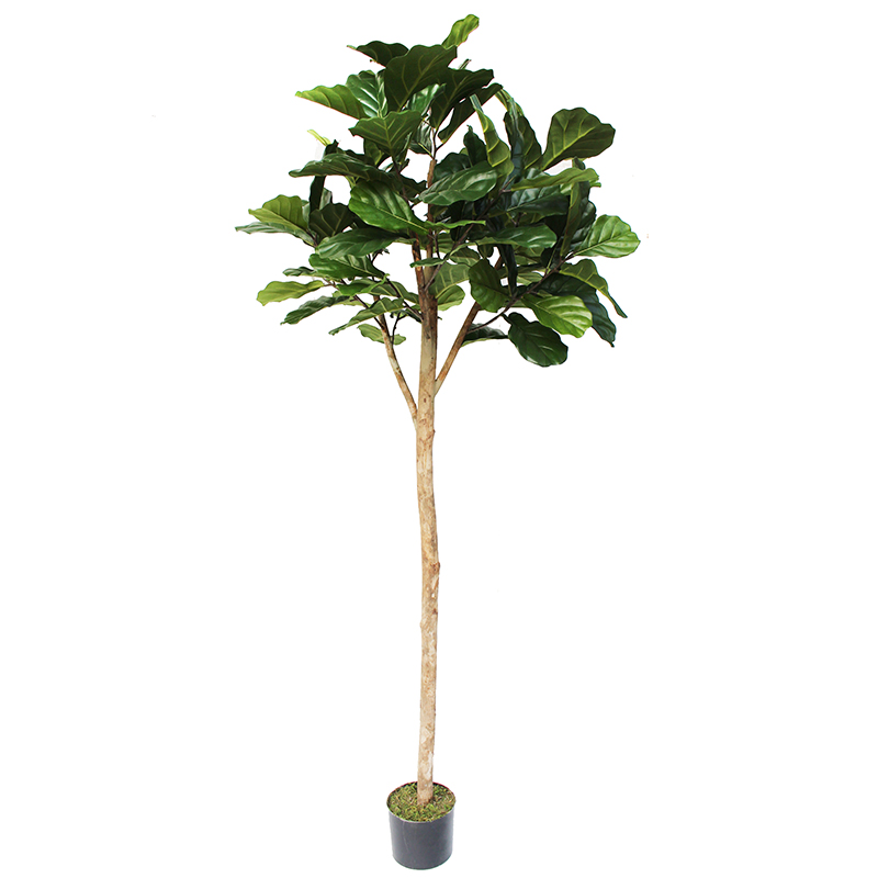 oh016200003 ไม่