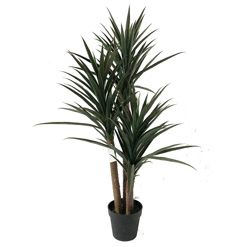 oh016200069 ไม่