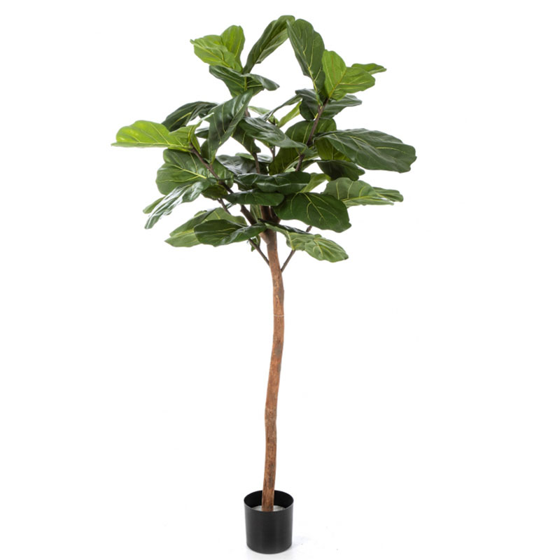 oh016200073 ไม่