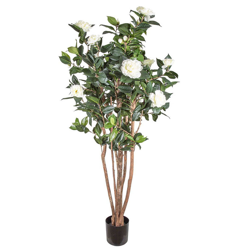 oh01620028 หมายเลข