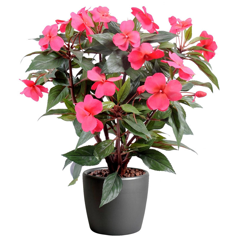 oh016200153 ไม่