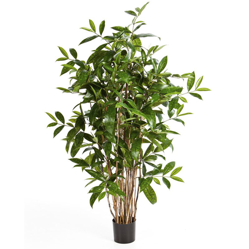 oh016200158 ไม่