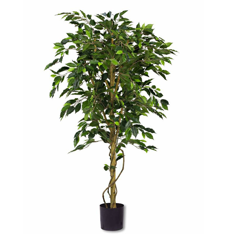 oh016200162 ไม่