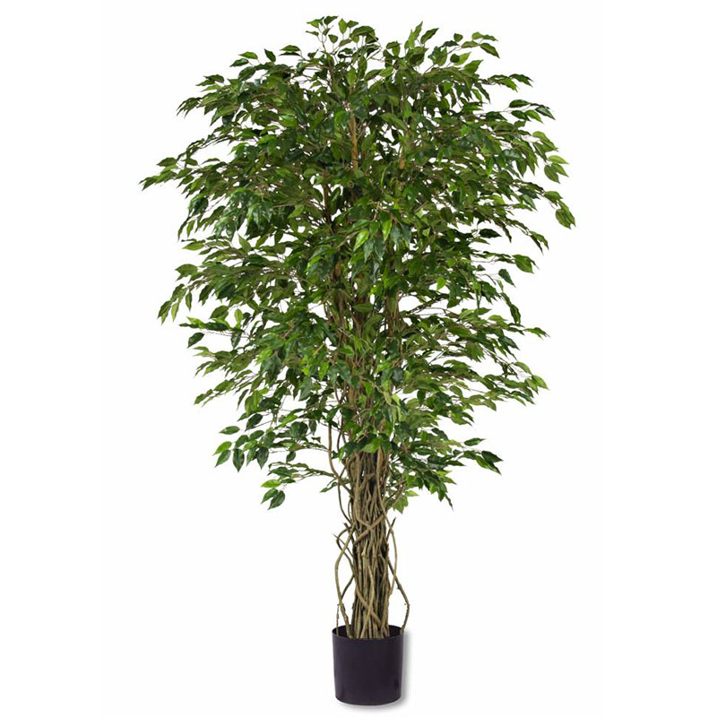 oh016200165 ไม่