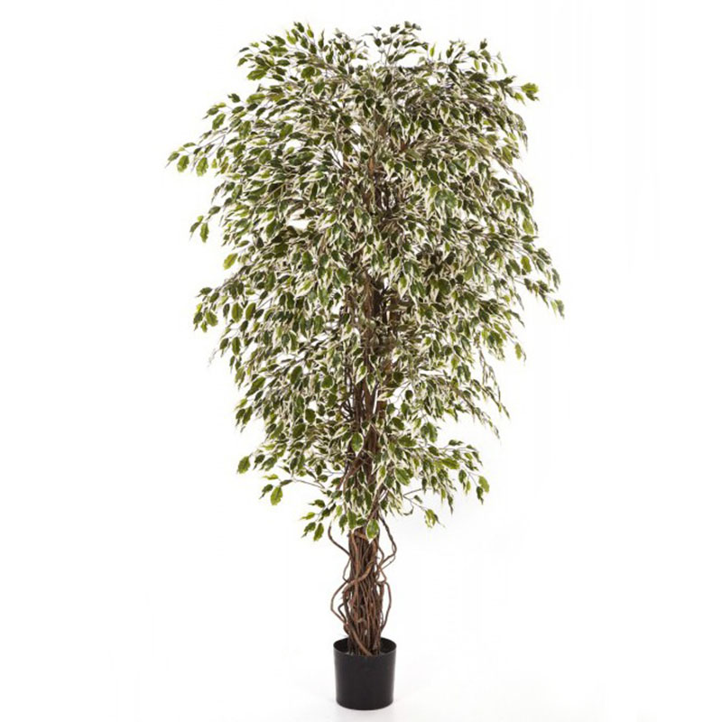 oh016200166 ไม่