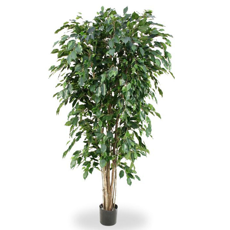 oh016200167 ไม่