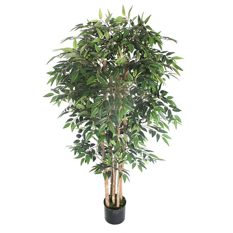 ประเภท oh016200168