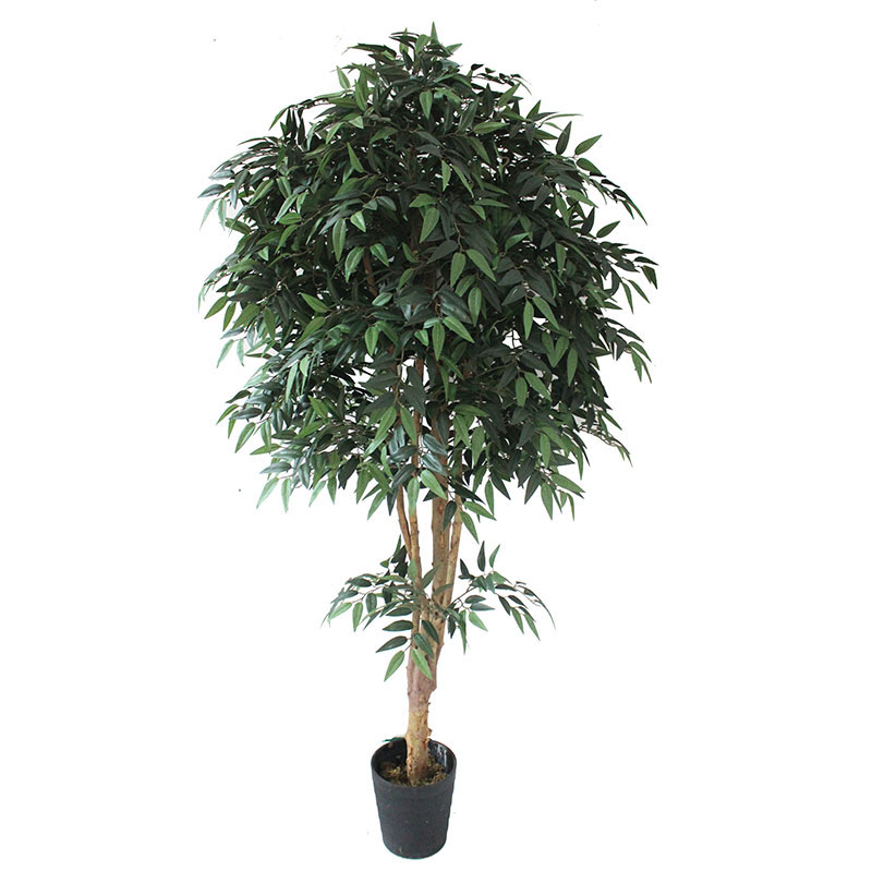 oh016200169 ไม่