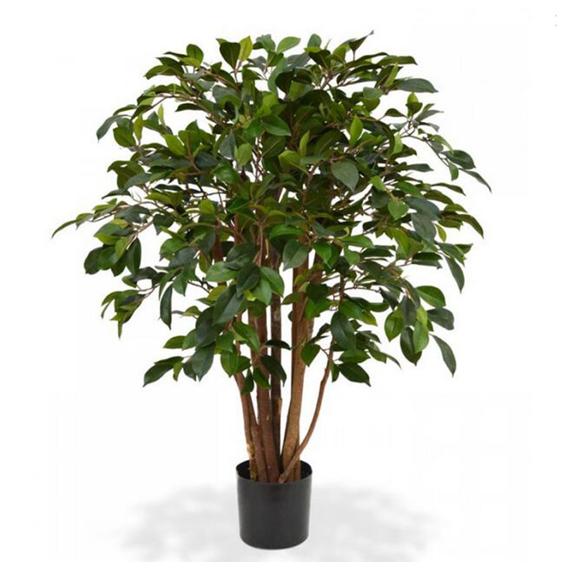 ประเภท oh0162170