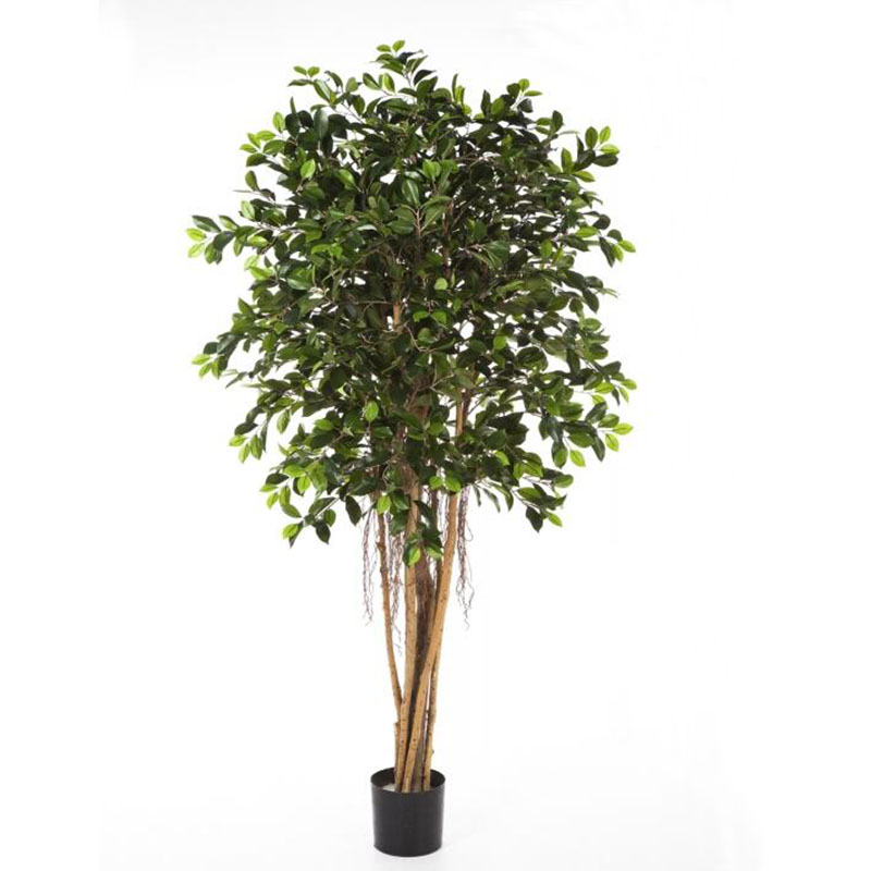 oh016200171 ไม่