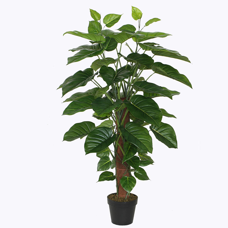 oh016200174 ไม่