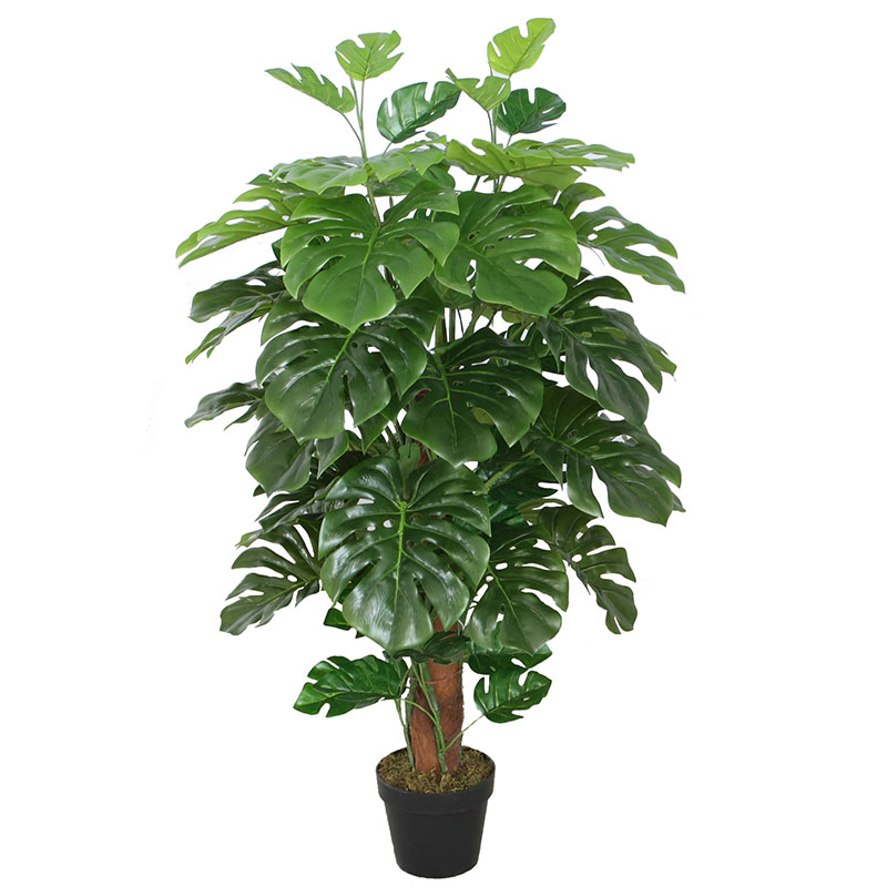 oh016200175 ไม่