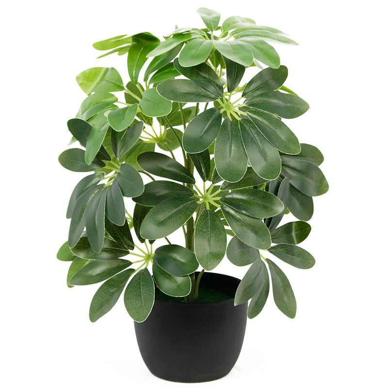 ประเภท oh025500036