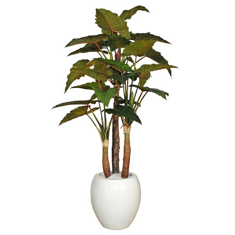 oh01820006 หมายเลข