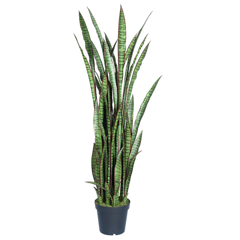 oh01820011 ไม่