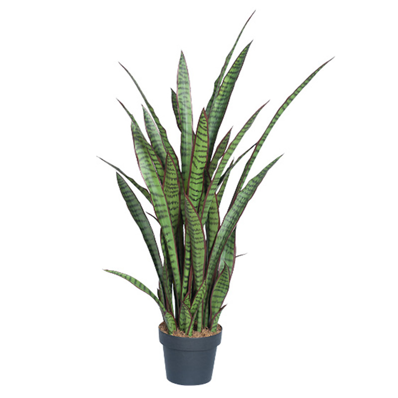 oh01820012 ไม่