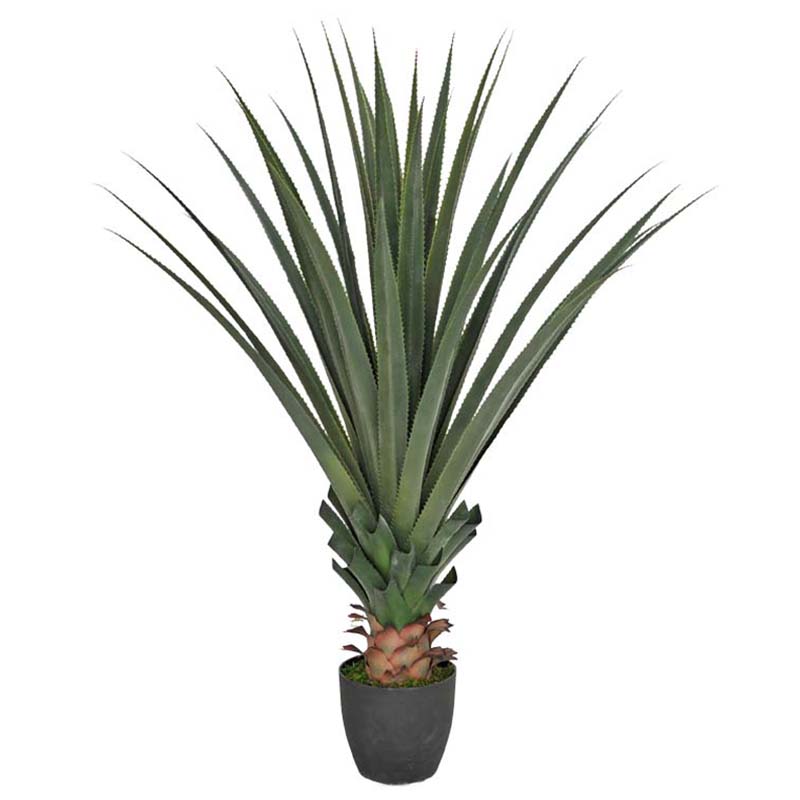 oh018200015 ไม่