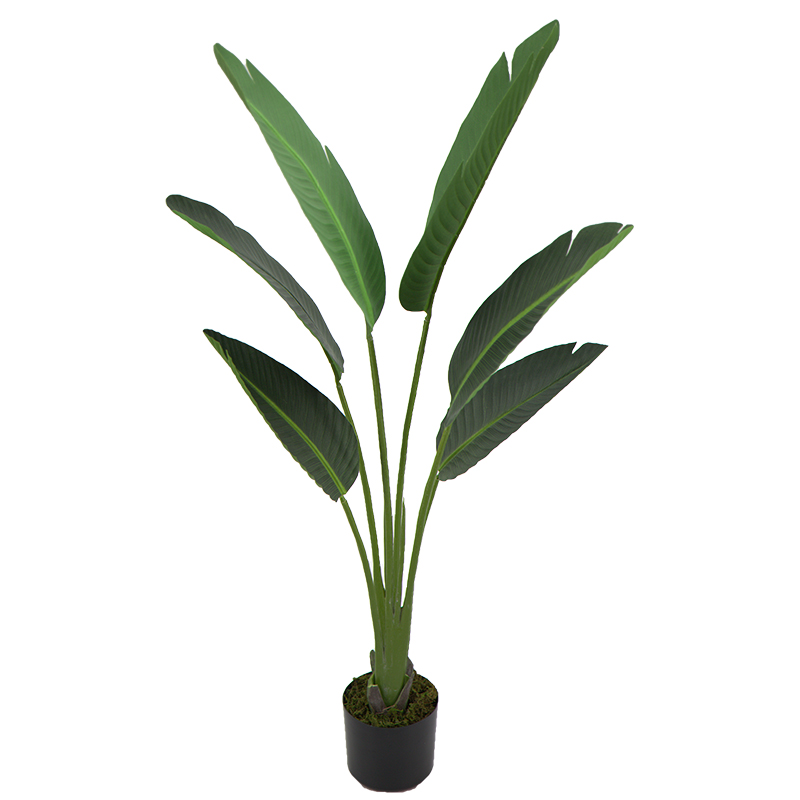 oh018200036 ไม่