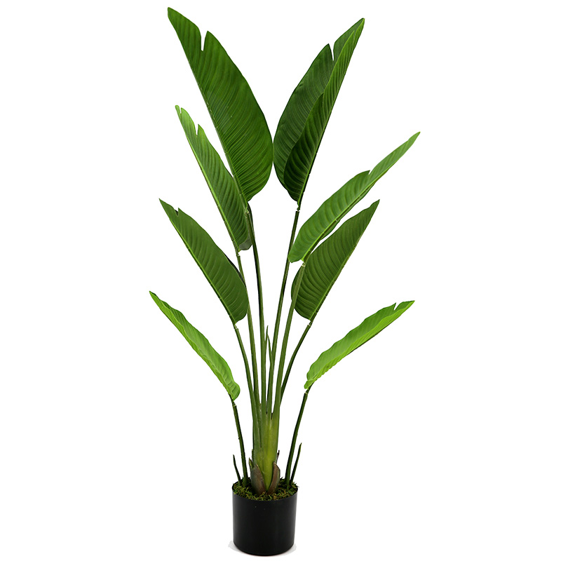 oh018200037 ไม่