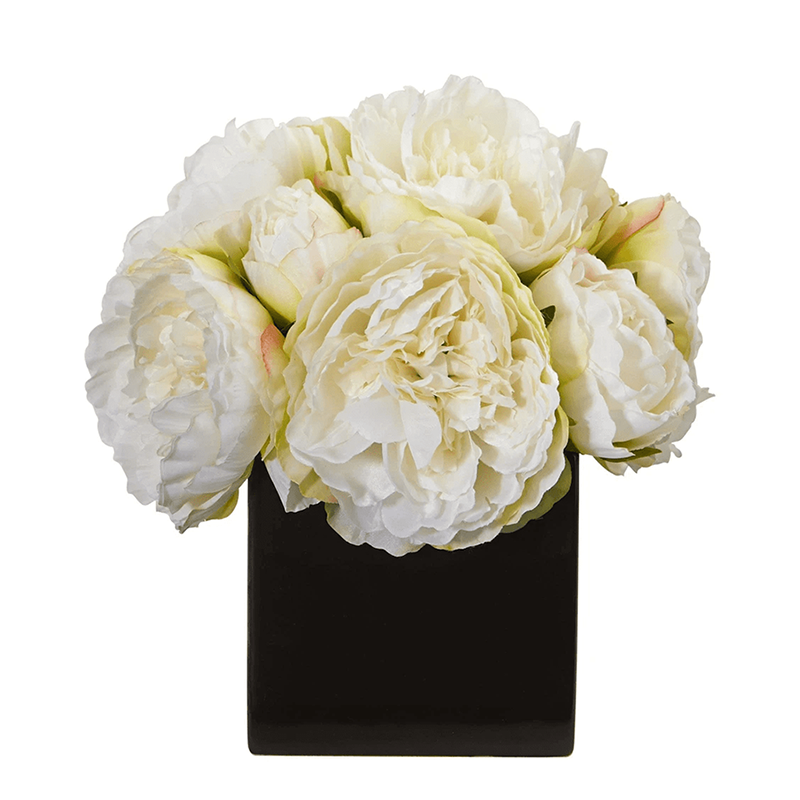 รัฐโอไฮโอ»