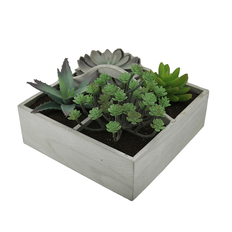 รัฐโอไฮโอ»