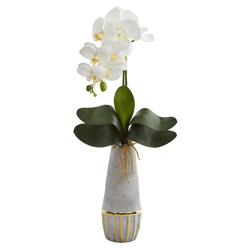 รัฐโอไฮโอ