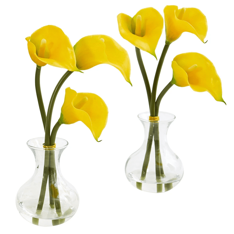 รัฐโอไฮโอ»