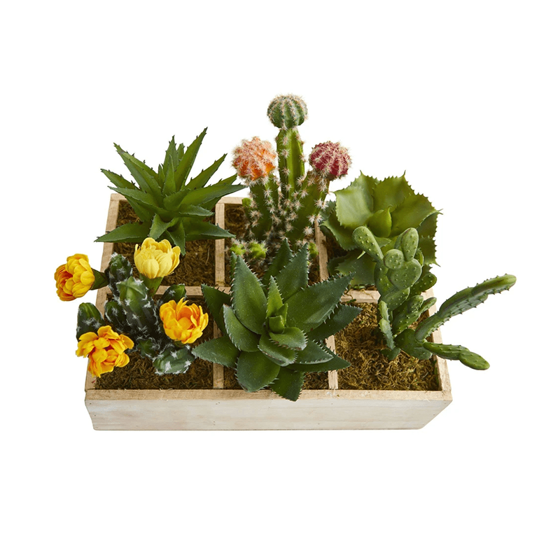 รัฐโอไฮโอ