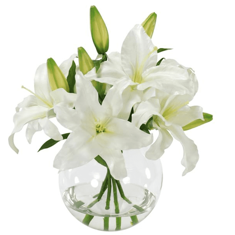 รัฐโอไฮโอ»