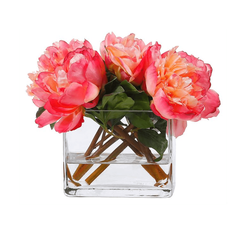 รัฐโอไฮโอ