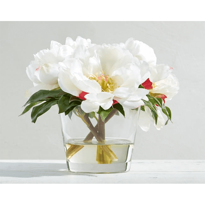 รัฐโอไฮโอจริง