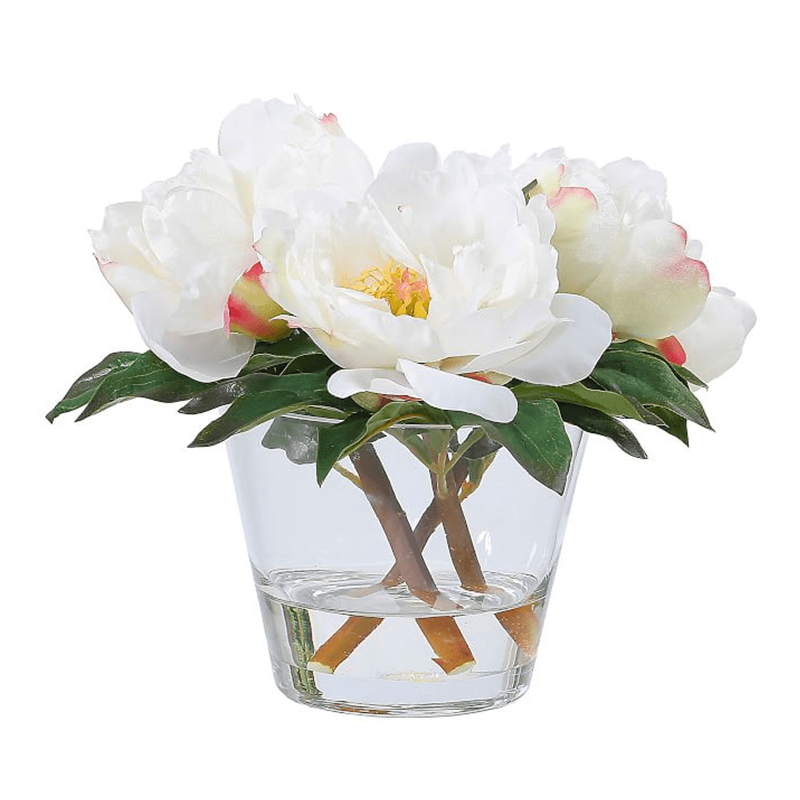 รัฐโอไฮโอจริง