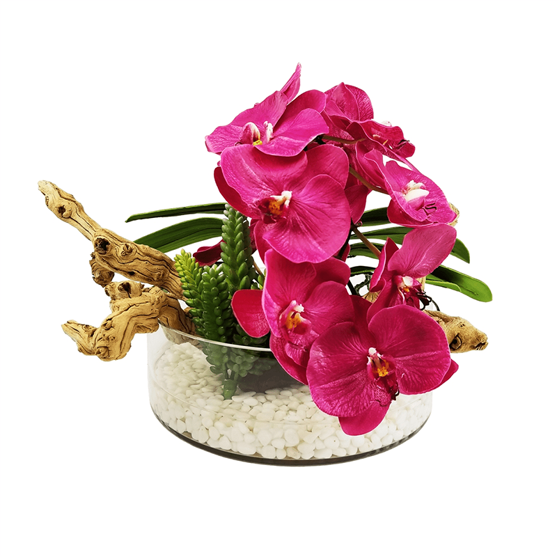 รัฐโอไฮโอ»