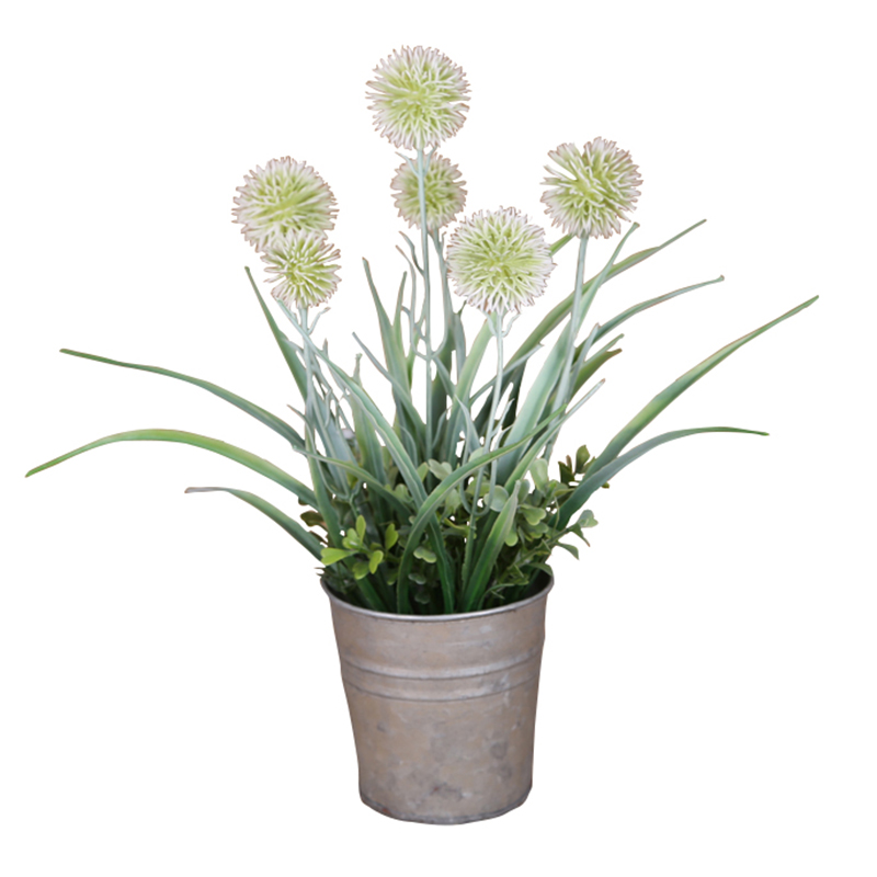 oh09320003 ไม่