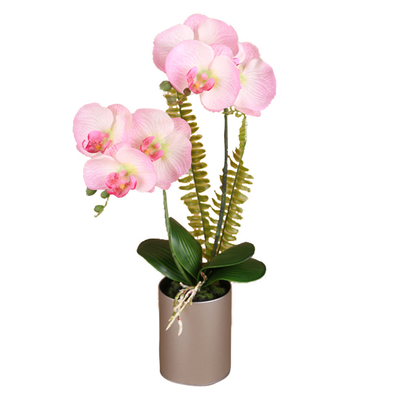 ประเภท oh0932009