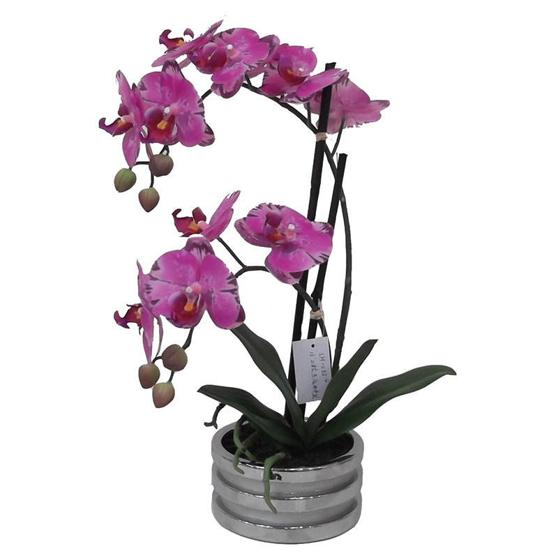 oh00220021 ไม่