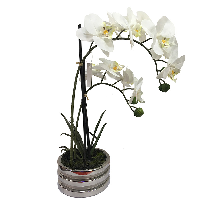 oh00220021 ไม่