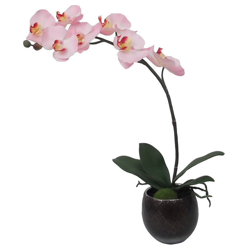 oh00220045 ไม่