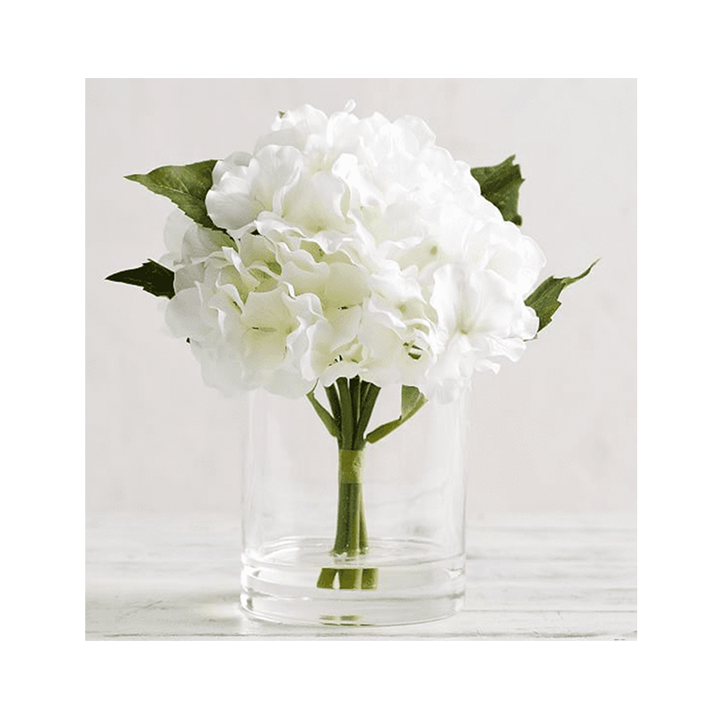 รัฐโอไฮโอจริง