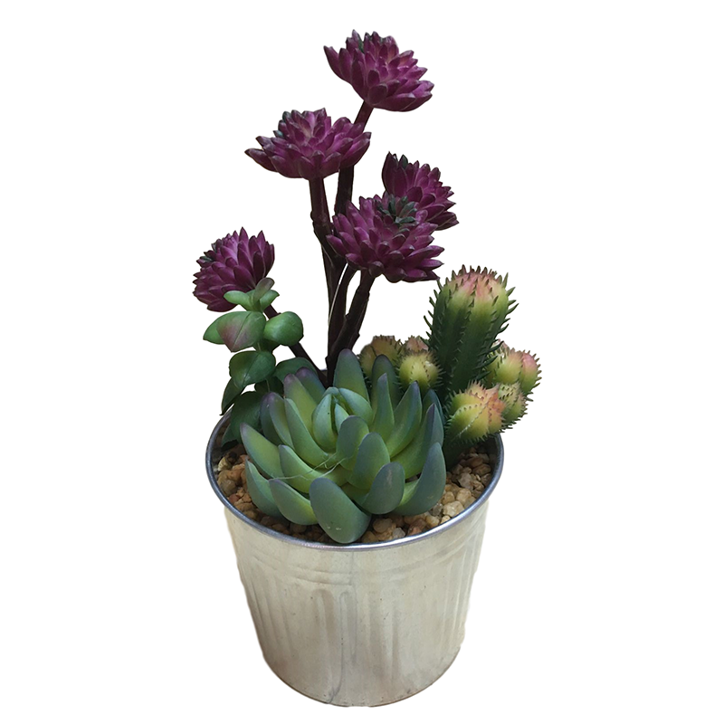 oh10820014 ไม่