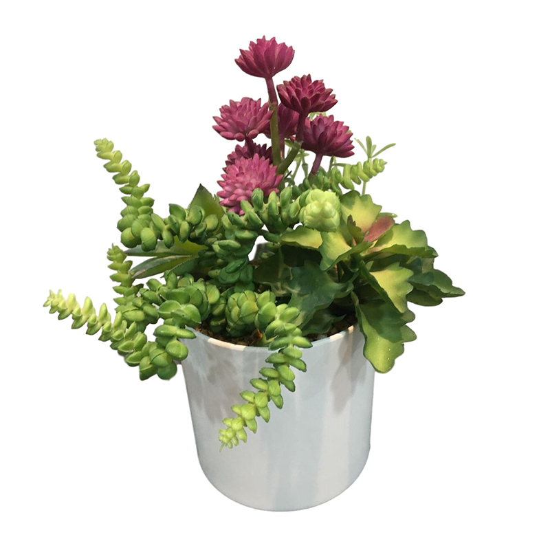 oh108200019 ไม่