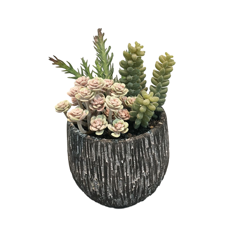 ประเภท oh10820021