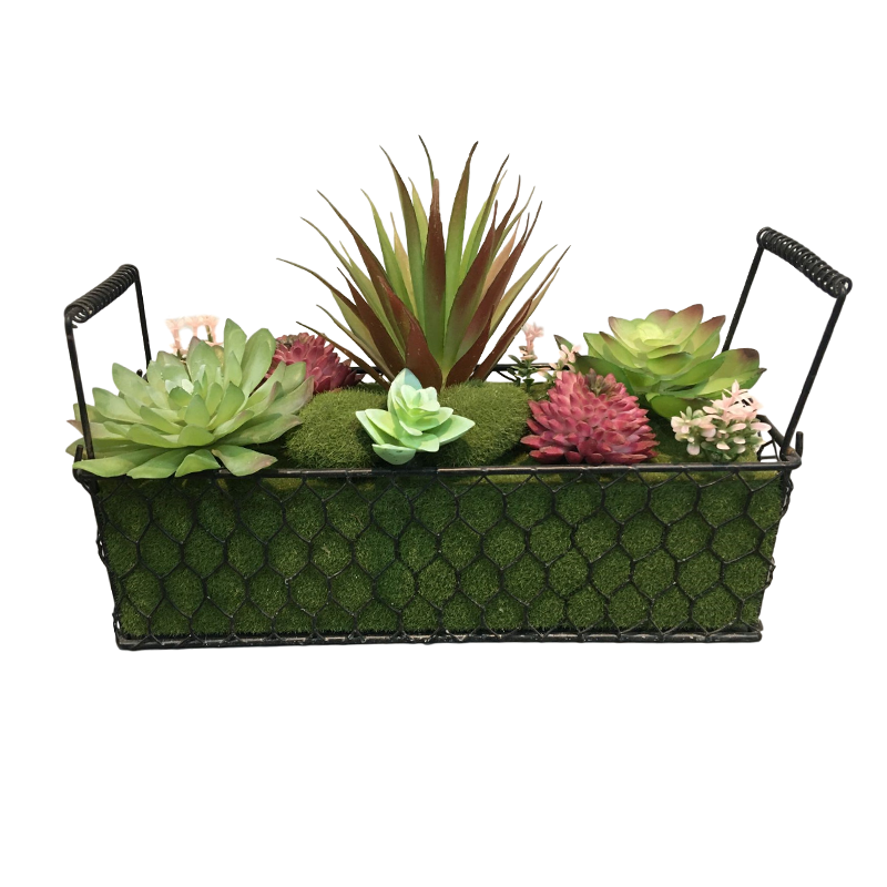 oh10820029 ไม่