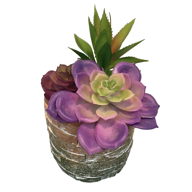 oh10820035 หมายเลข