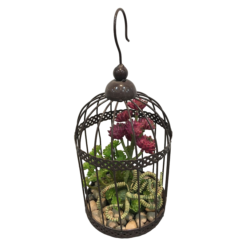 oh108200049 ไม่