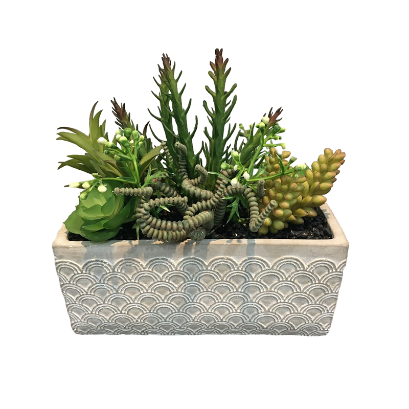 oh108200038 ไม่