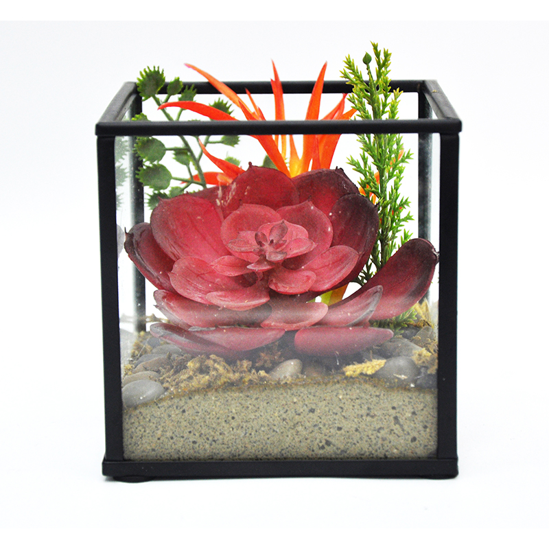 oh024200079 ไม่