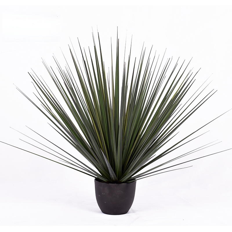 การ oh10920001 และ oh10920002 และ