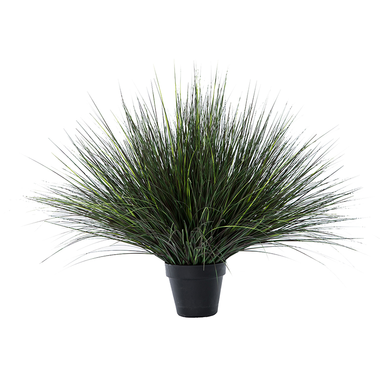 oh10920024 และ oh10920025 และตัด