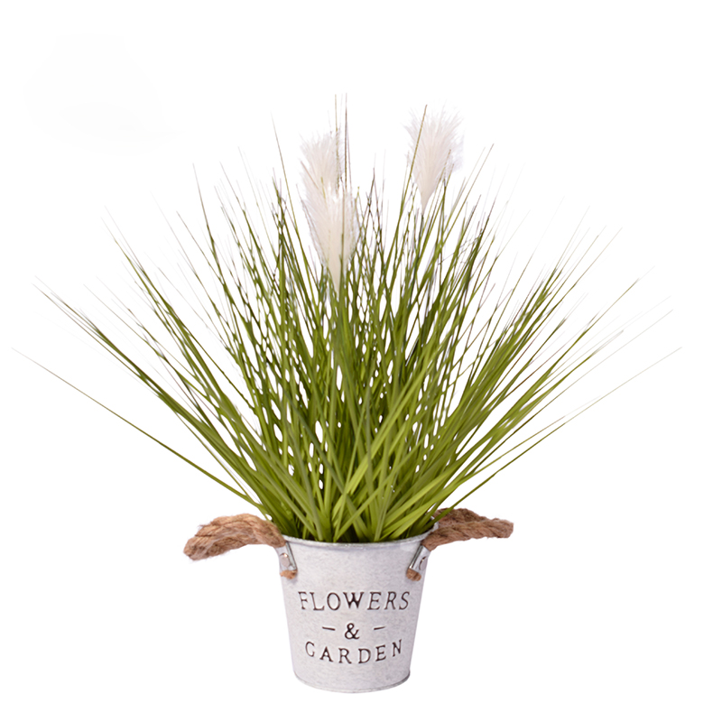 oh10920048 ไม่